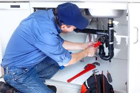 Best Plumbing System Maintenance  in Shorewood Forest, IN